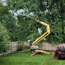 Best Fruit Tree Pruning  in Rosedale, LA